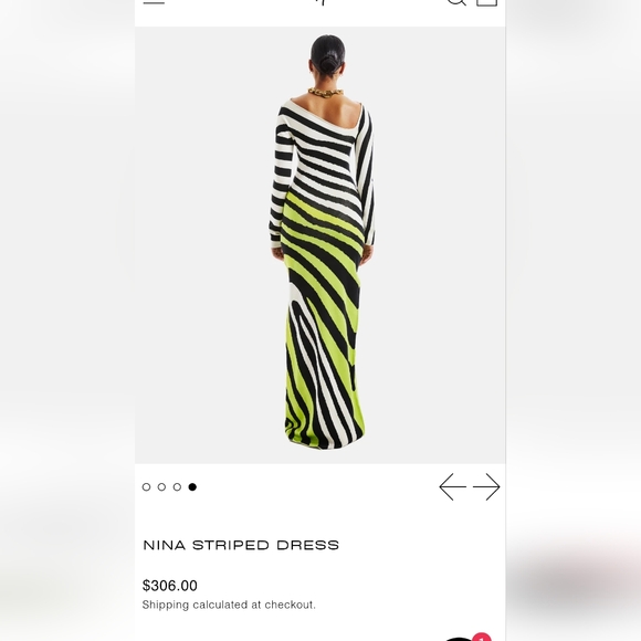 Hanifa Nina Dress Black, White, and Green Striped Long Sleeve Dress 2X - Picture 4 of 8